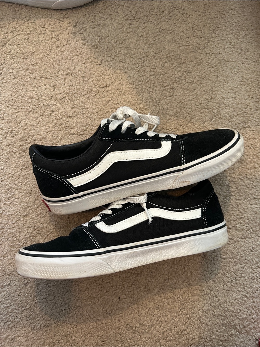 Vans Black and White Low-Top Skate Sneakers